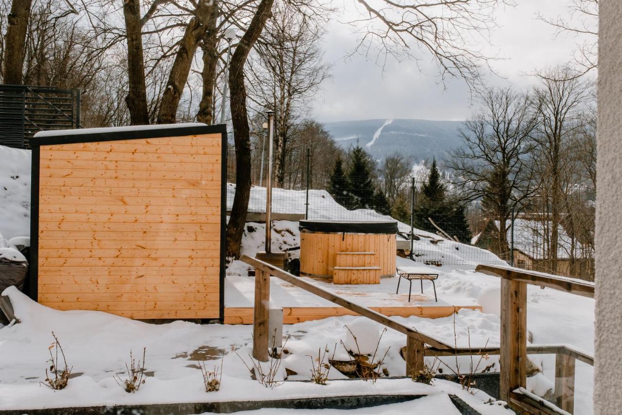 Apartamenty Larice - Podgrzewany Basen, Balia I Sauna Swieradow-Zdroj Luaran gambar
