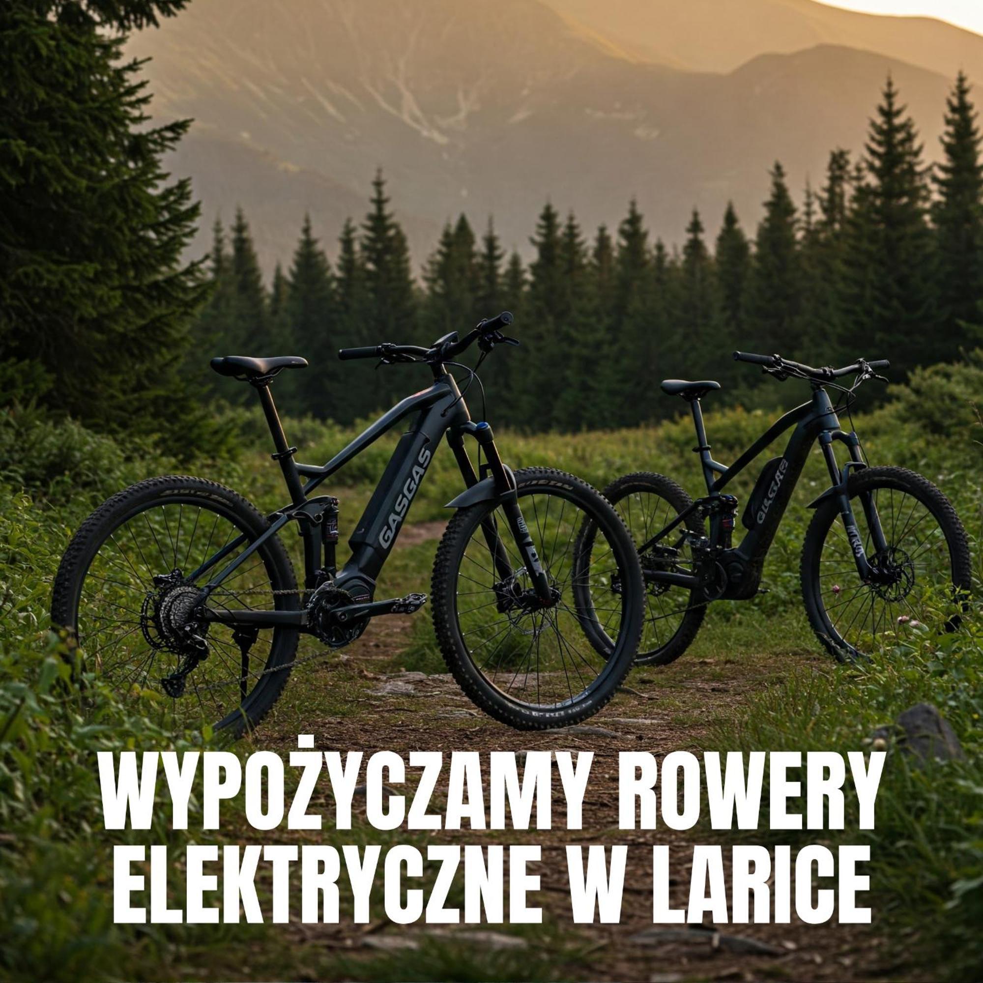 Apartamenty Larice - Podgrzewany Basen, Balia I Sauna Swieradow-Zdroj Luaran gambar